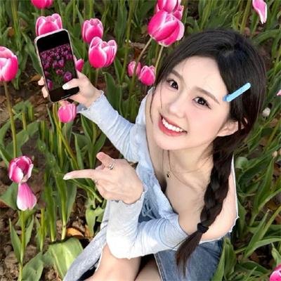 菊石海报