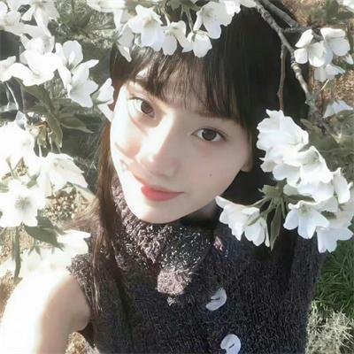 月出何方海报