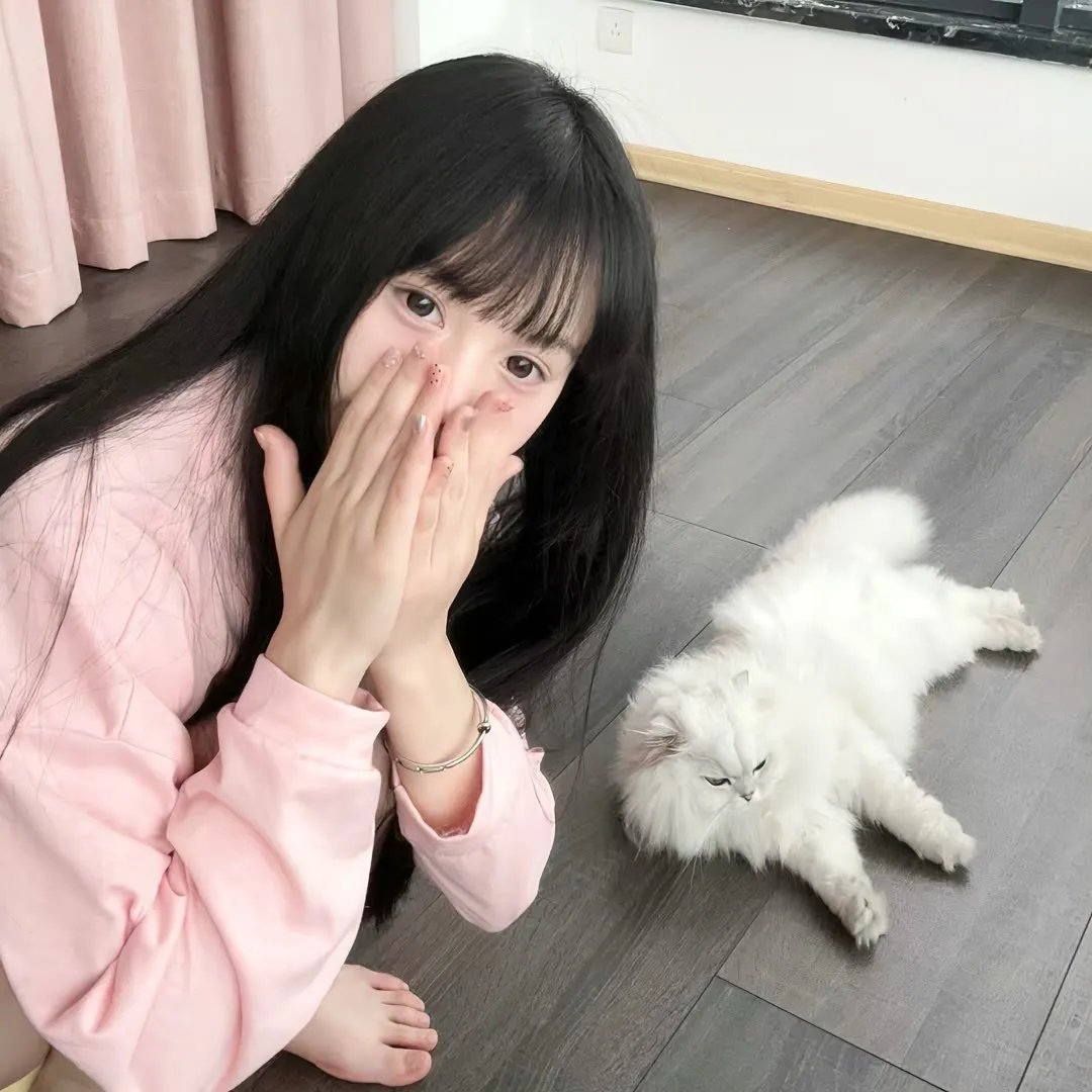 双面宠妃闯关记海报
